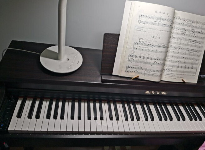 有音乐梦就赶快行动，快准备着珠江艾茉森钢琴！的第2张示图