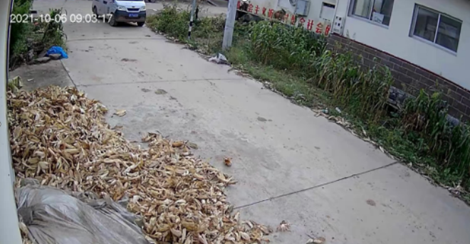 家有老人，备上华为E20W摄像头再好不过！-JinMo之家