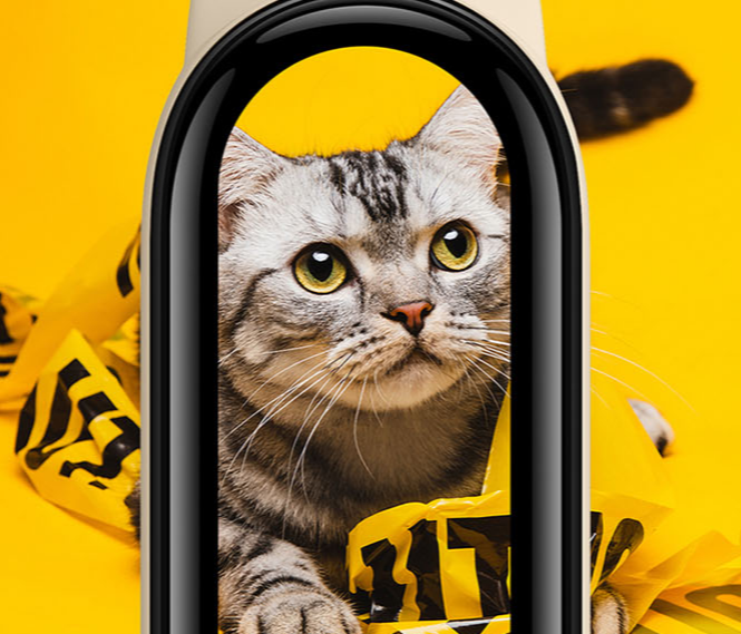 科技感十足的小米手环6，打造更多便捷可能的第3张示图