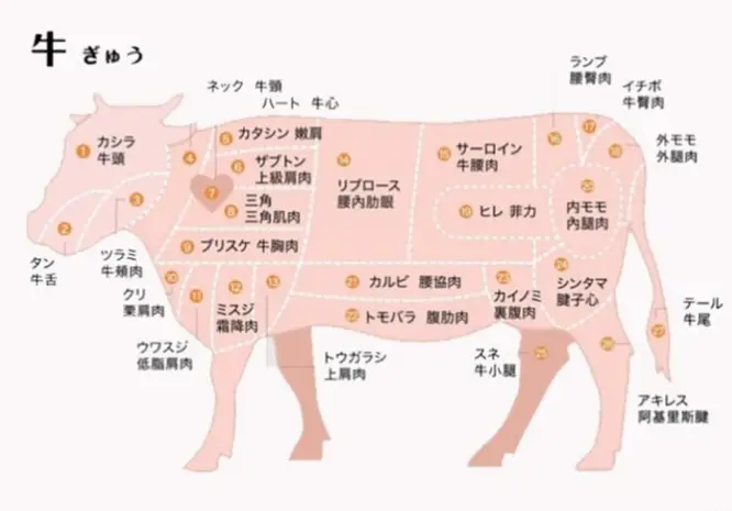 日式烧肉不踩雷 实用的和牛各部位介绍