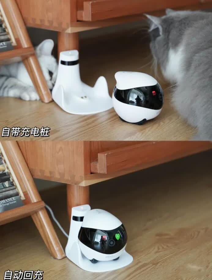 Ebo智能监控陪伴机器人，无时无刻都可以查看-JinMo之家