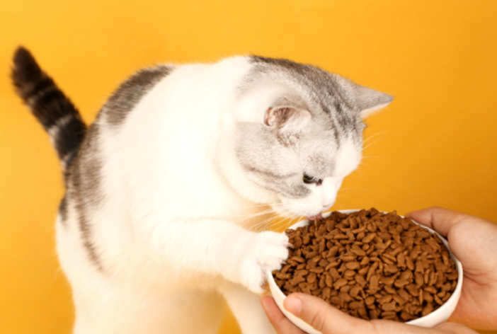 怡亲家的猫粮，是适合自家猫猫的好猫粮