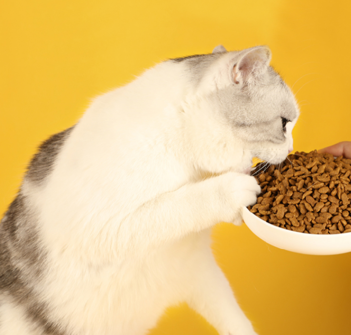 怡亲家的猫粮，是适合自家猫猫的好猫粮