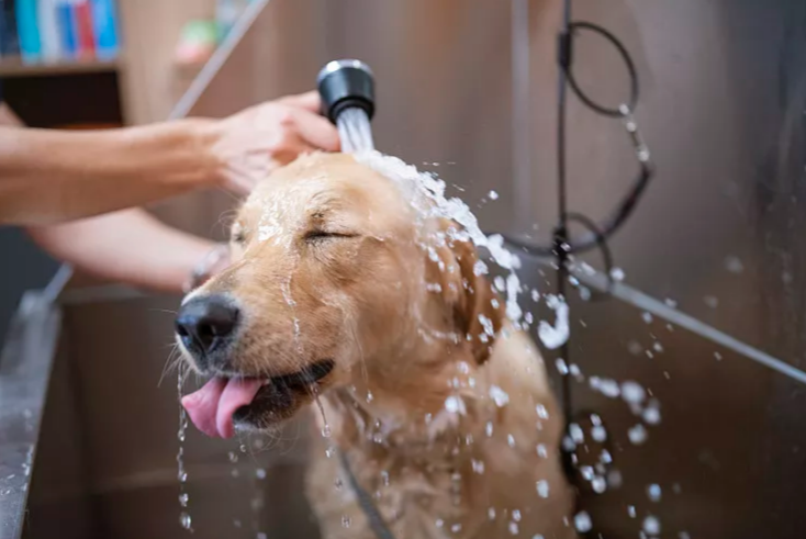 高颜值高性能的燃气热水器，帮助提升幸福感的第5张示图