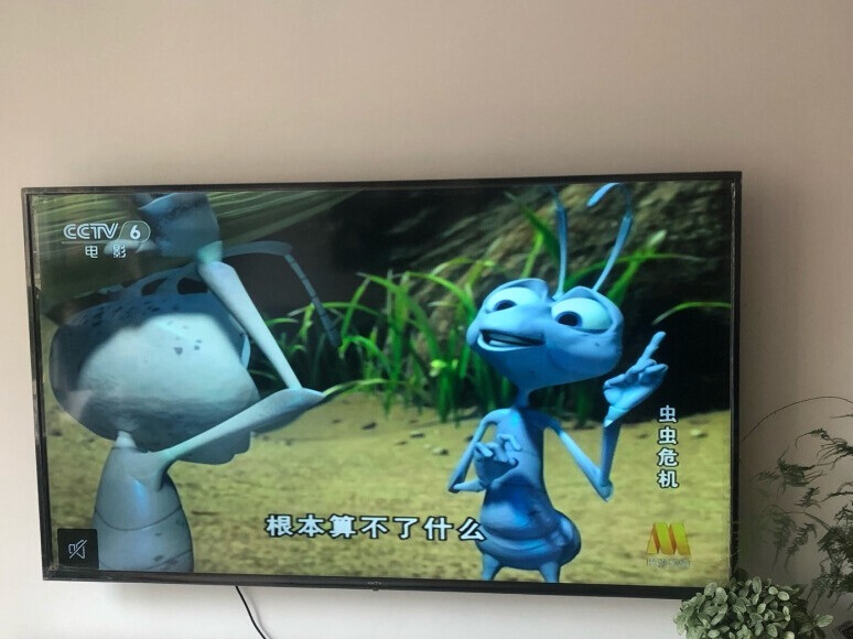 入手电视究竟该关注什么，KKTV电视机告诉你！的第1张示图