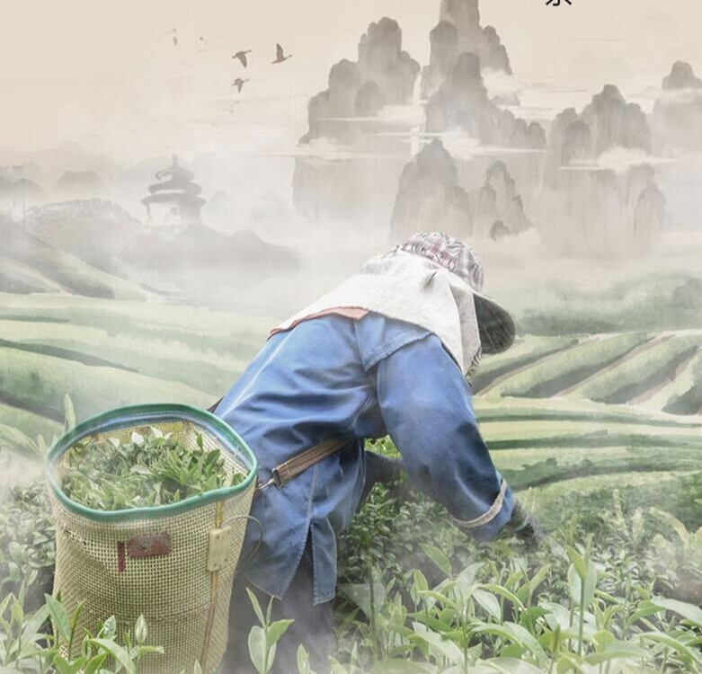 寻找记忆中的茶香,只需泡一壶京华12号茉莉花茶的第5张示图 寻找记忆中的茶香,只需泡一壶京华12号茉莉花茶的第5张示图