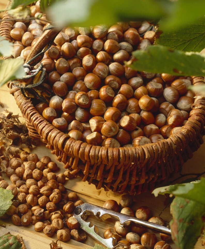 过年过节送好礼，就选沃隆金典坚果礼盒-JinMo之家