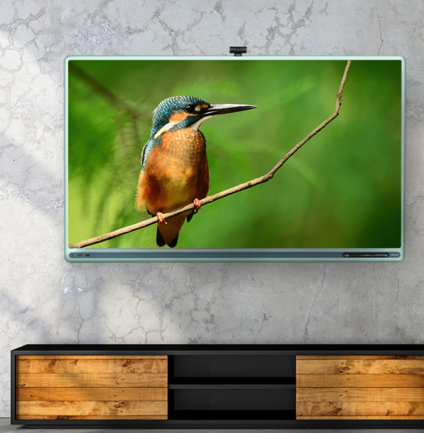 高质量教育外援？家庭影院系统？海信全都拿捏！-JinMo之家