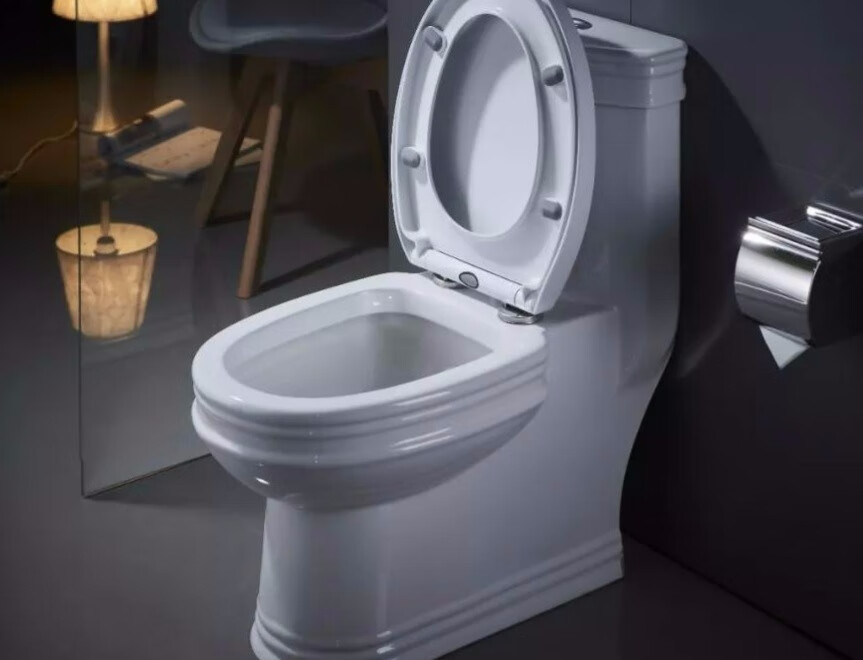 智能化生活给家庭不同感受，让如厕有了革新变化-JinMo之家