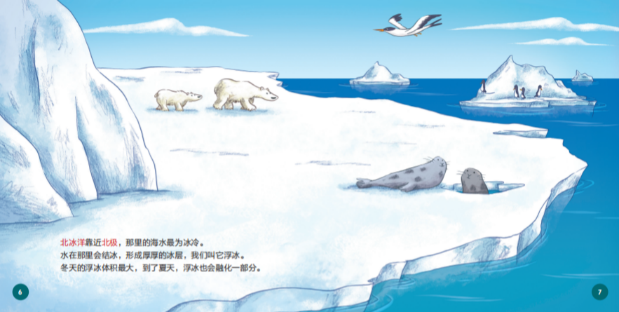 涨知识，原来北极真的有过“企鹅”！-JinMo之家