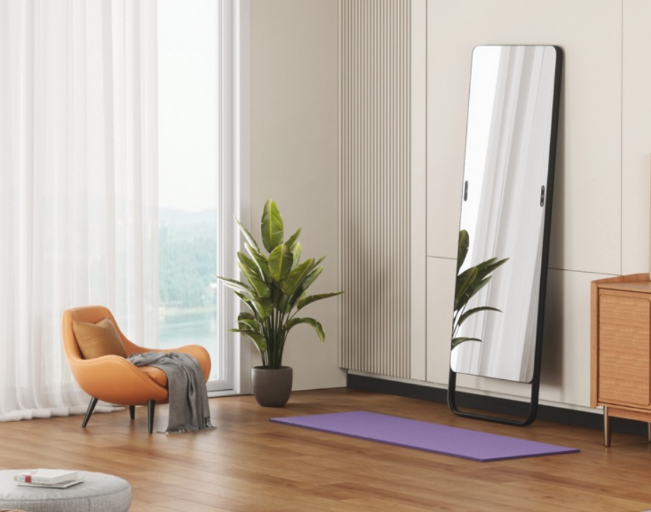 运动逆袭更简单,小度添添智能健身镜陪你涅槃-JinMo之家