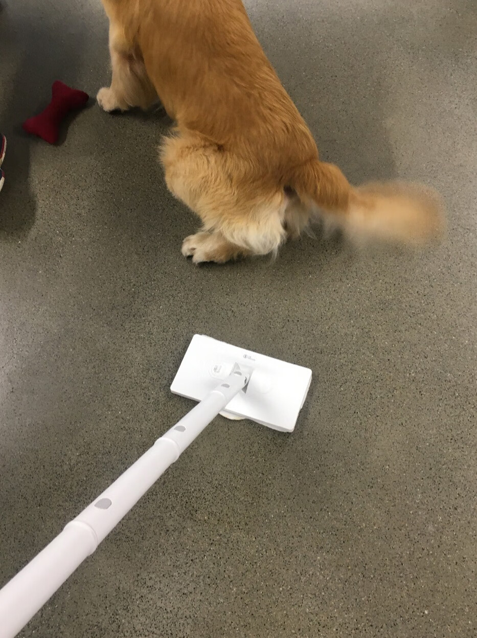 德尔玛蒸汽吸尘器,突破以往普通吸尘-JinMo之家