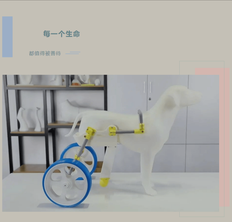 3D打印动物义肢，每一个生命都值得被善待-JinMo之家