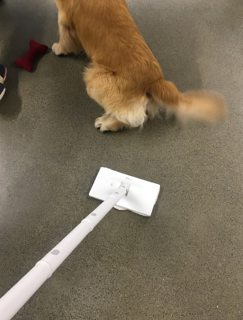 家用清洁好物之德尔玛ZQ610高温蒸汽清洁机-JinMo之家