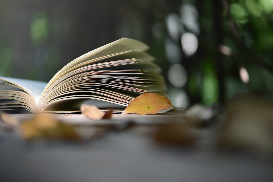 布置温馨书房,找对合适家具样式的第2张示图 布置温馨书房,找对合适家具样式的第2张示图