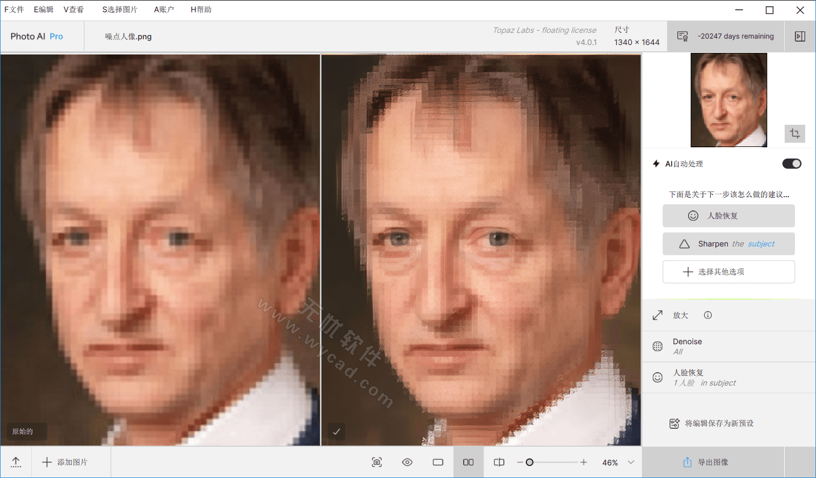 AI图片降噪软件 | Topaz Photo AI v4.0.3 中文汉化绿色便携版