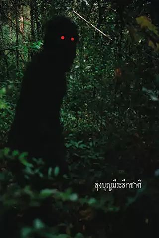 波米叔叔的前世今生