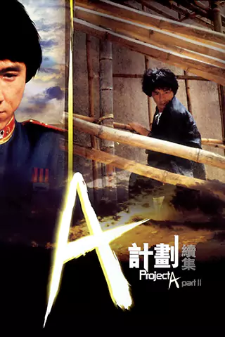 A計劃續集
