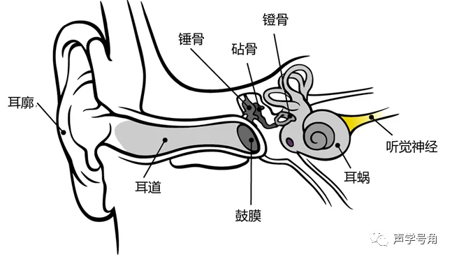 一文听懂声音玄学
