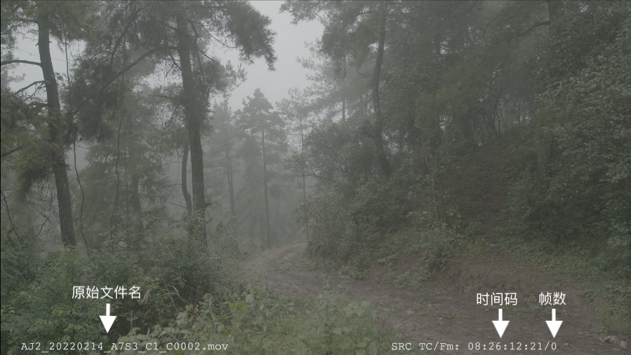 纪录片开剪前必须做的五步：二 制作代理文件