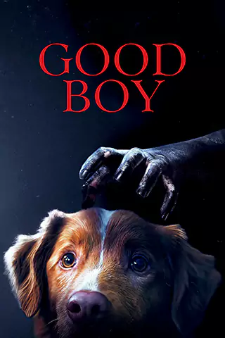 Good Boy