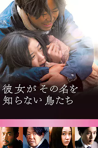 她不知道那些鳥的名字
