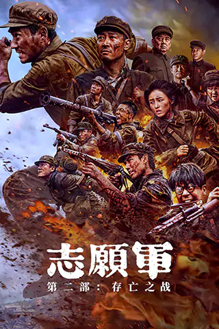 The Volunteers: The Battle of Life and Death