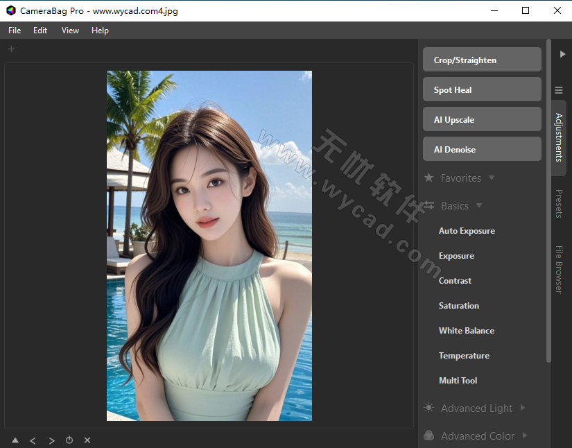 强大的图像处理软件 | CameraBag Pro v2026.0.0 绿色版