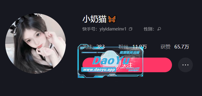 快手舞池的璀璨明珠：小奶猫的定制舞蹈美学