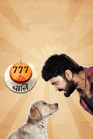 幸運狗狗來造訪