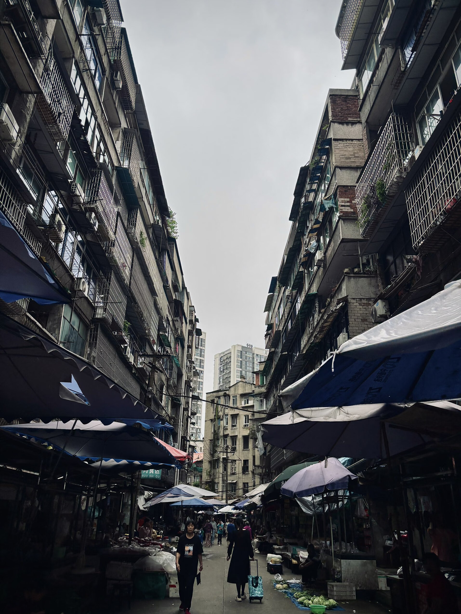 迥异尘嚣 内江一瞬