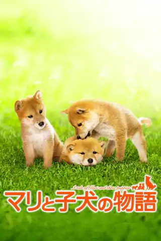 心動奇蹟: 瑪莉與三隻小狗的故事