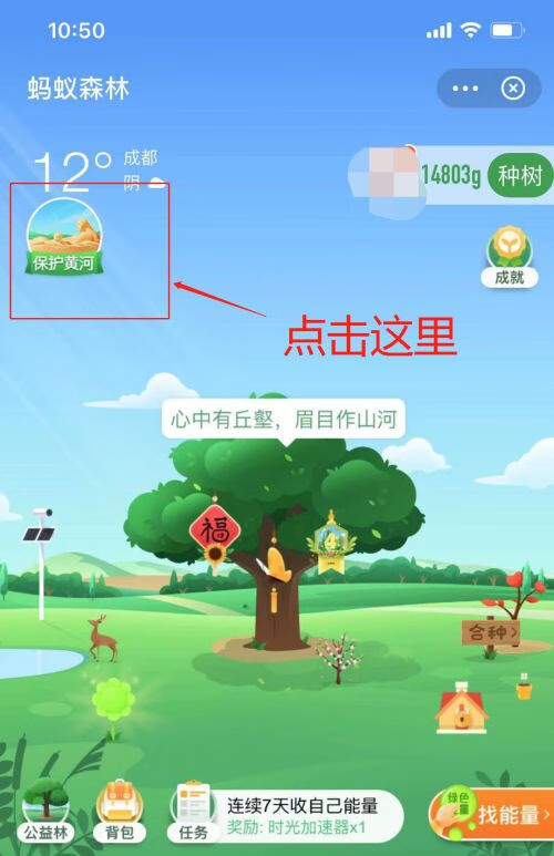 《支付宝》蚂蚁森林保护黄河玩法介绍