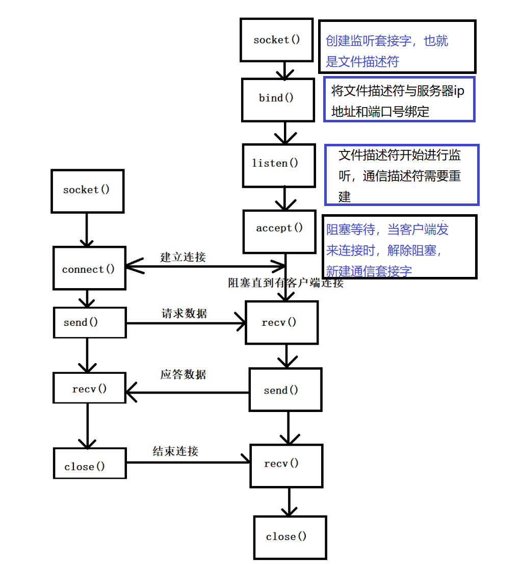 Linux网络通信（TCP套接字编写，多进程多线程版本）