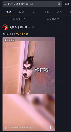 《抖音》你他妈的看什么出来单挑啊二哈视频