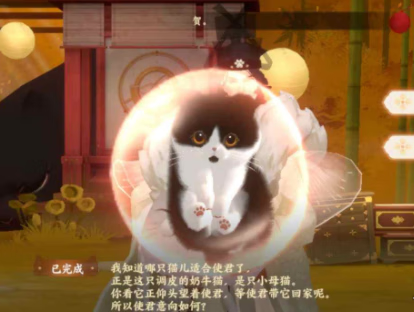 《忘川风华录》猫咪问答怎么选择