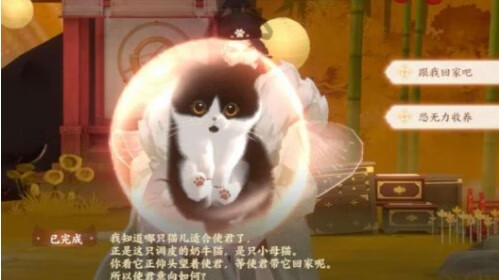 《忘川风华录》怎么获得猫