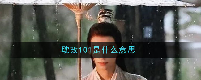 耽改101是什么意思