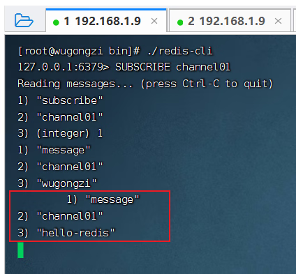 这次彻底读透 Redis