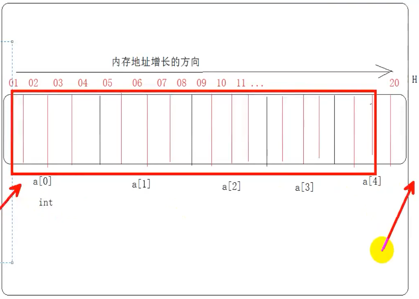 C语言基础--数组