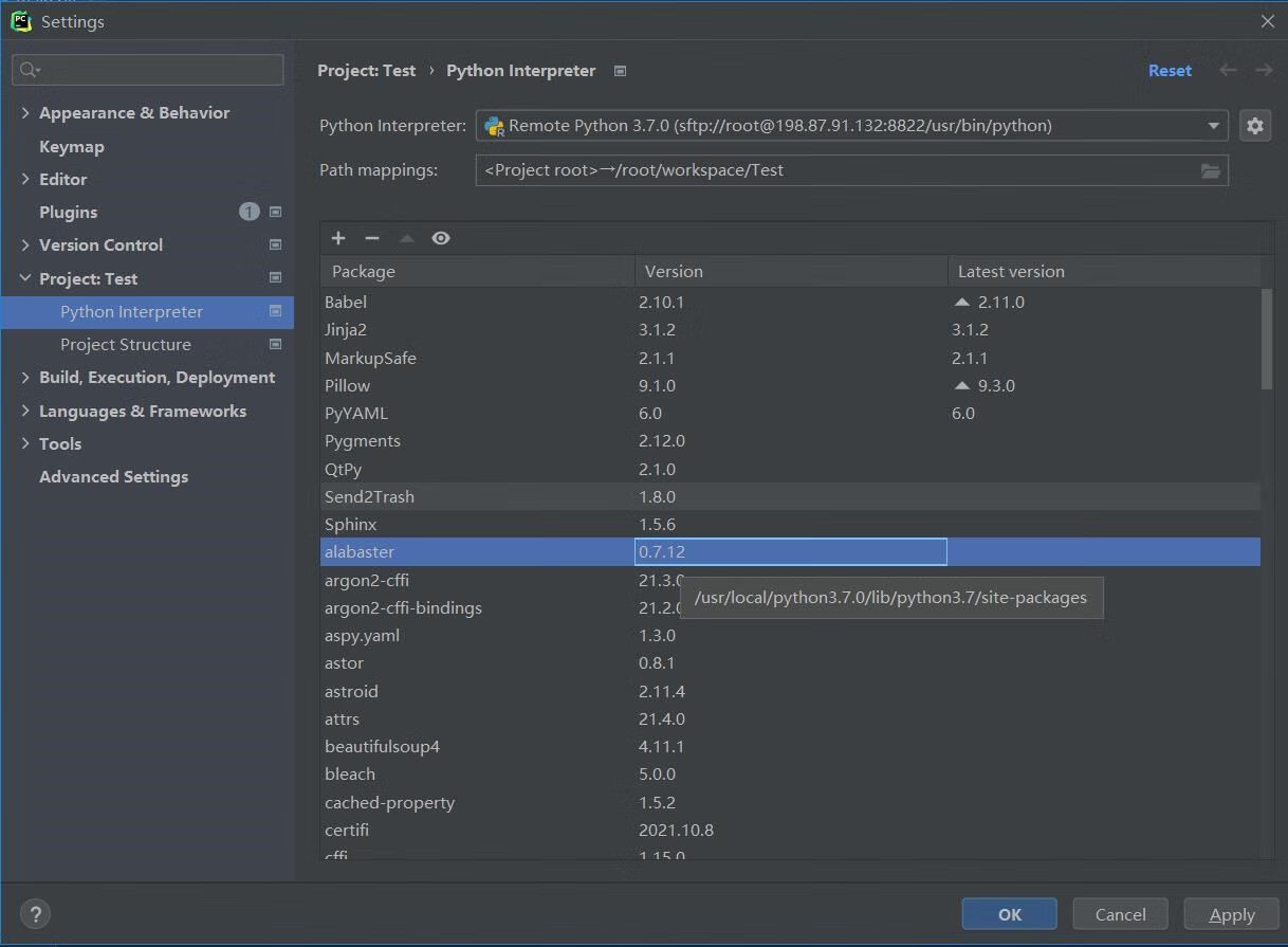 PyCharm配置远程Docker环境