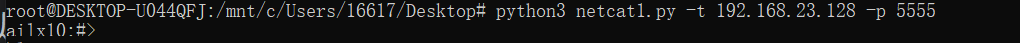 python渗透测试入门——取代netcat