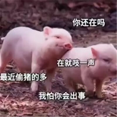 《抖音》他凶我的时候我愣住了连晚上找几个男模我都想好了表情包大全