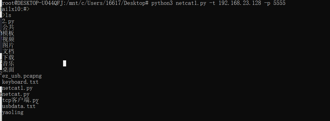 python渗透测试入门——取代netcat