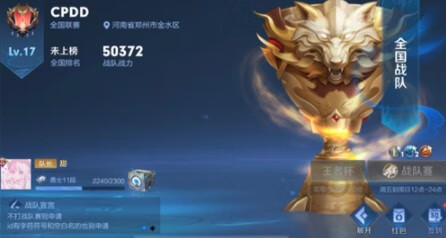 《王者荣耀》全国战队为什么不显示