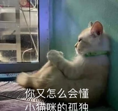 《抖音》看完年度账单后的我图片大全