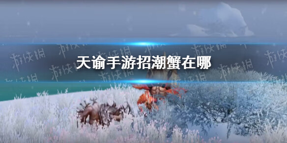 《天谕》手游招潮蟹在哪