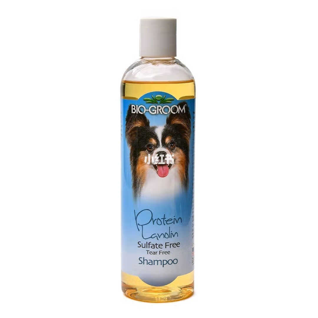 猫和狗的洗发水BIO-GROOM蛋白质/羊毛脂用 