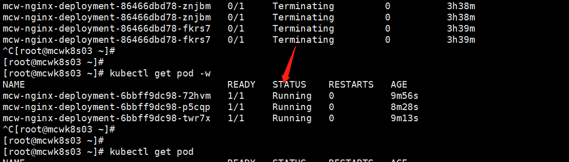 kubernetes之kubectl与YAML详解1