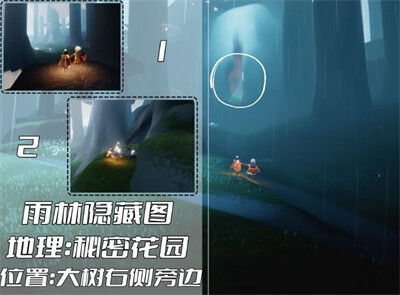 《光遇》雨林冥想点位置攻略